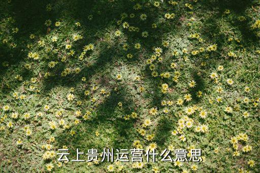 云上貴州運營什么意思