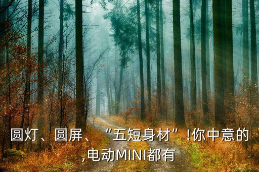 圓燈、圓屏、“五短身材”!你中意的,電動MINI都有