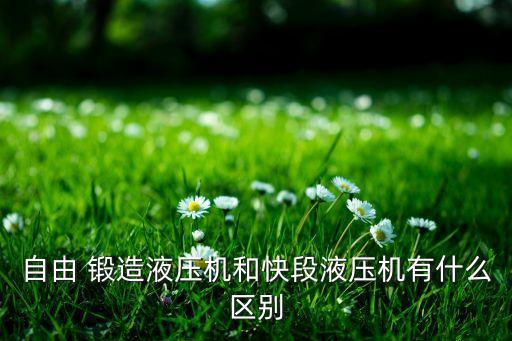 自由 鍛造液壓機(jī)和快段液壓機(jī)有什么區(qū)別