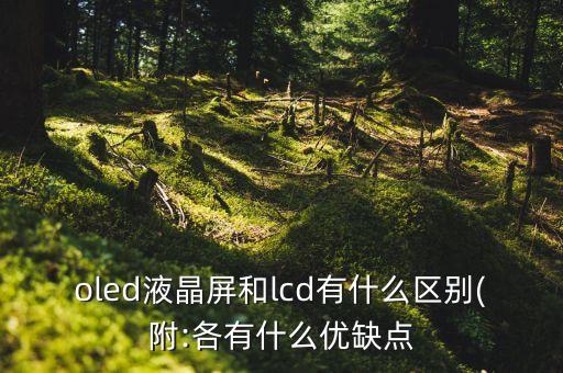 oled液晶屏和lcd有什么區(qū)別(附:各有什么優(yōu)缺點(diǎn)