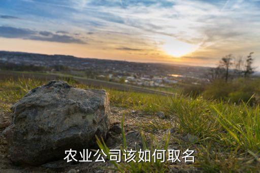 農(nóng)業(yè)公司該如何取名