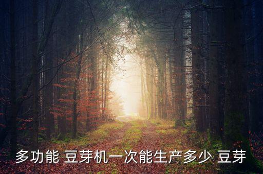 多功能 豆芽機一次能生產(chǎn)多少 豆芽