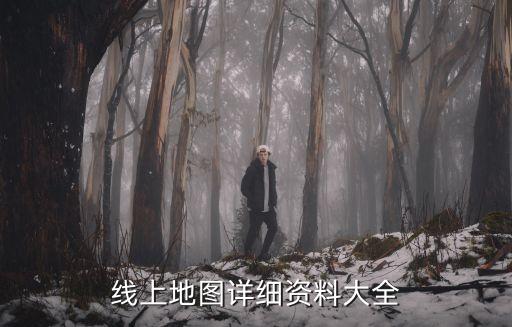 線上地圖詳細(xì)資料大全