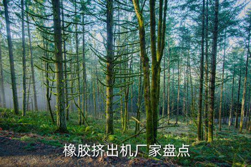 自動化橡膠生產(chǎn)設備,木托盤自動化生產(chǎn)設備