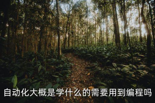 自動(dòng)化大概是學(xué)什么的需要用到編程嗎