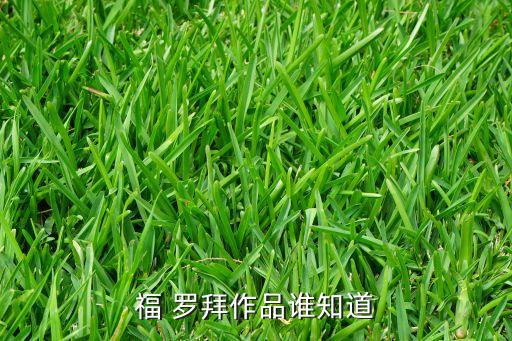 浙江羅拜自動化有限公司,上海羅拜文化傳播有限公司