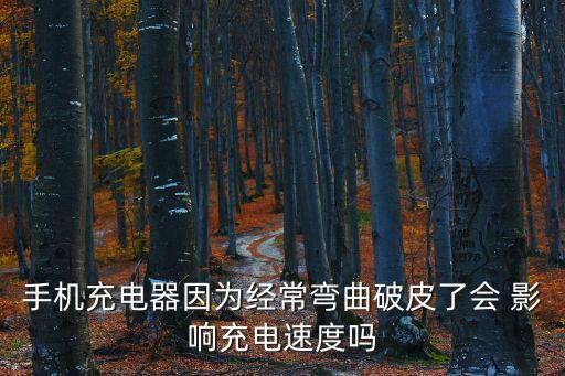 快充數(shù)據(jù)線破皮影響使用嗎