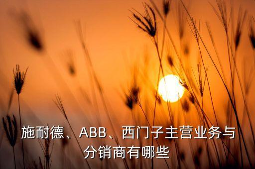 施耐德自動(dòng)化系統(tǒng)有限公司