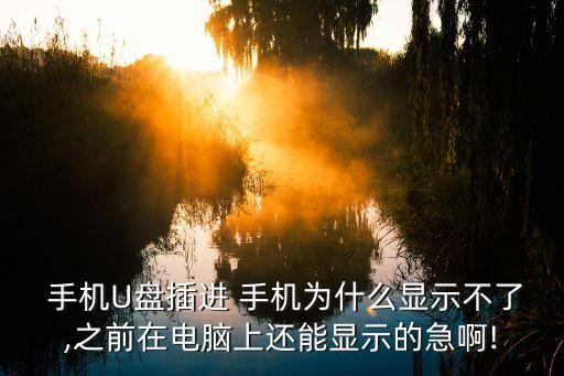 手機(jī)u盤 無法傳輸數(shù)據(jù),u盤在傳輸數(shù)據(jù)過程中,突然讀不出來了