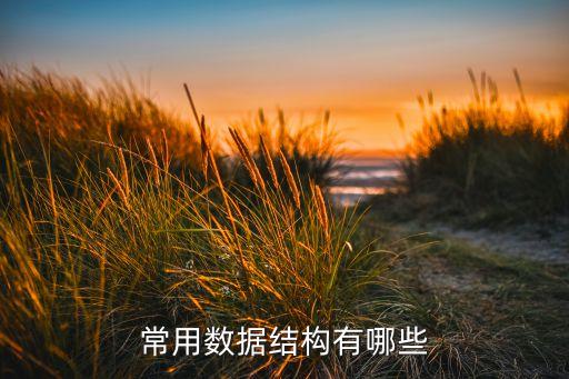 常用數(shù)據(jù)結(jié)構(gòu)有哪些
