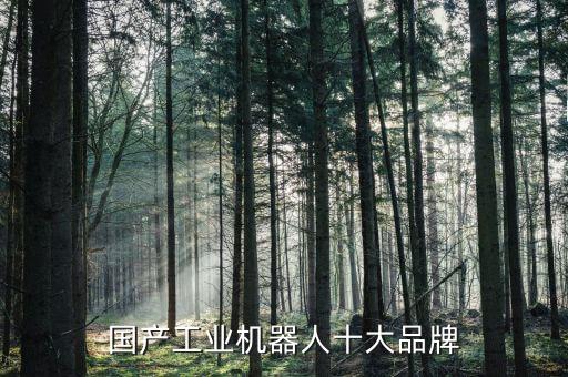國(guó)產(chǎn)工業(yè)機(jī)器人十大品牌