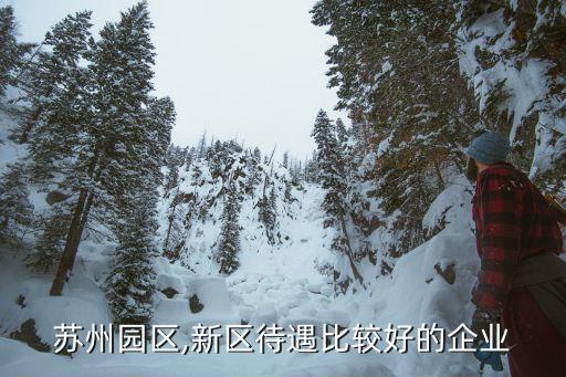 蘇福自動化設(shè)備,蘇州工業(yè)園區(qū)哪些企業(yè)福利待遇很好?