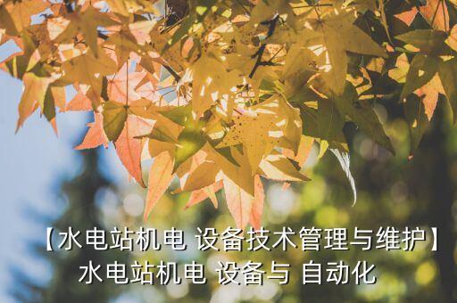 【水電站機(jī)電 設(shè)備技術(shù)管理與維護(hù)】水電站機(jī)電 設(shè)備與 自動化
