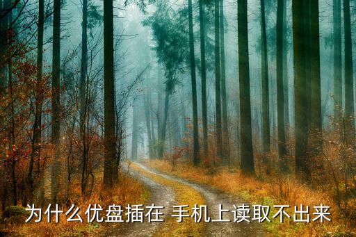 為什么優(yōu)盤(pán)插在 手機(jī)上讀取不出來(lái)