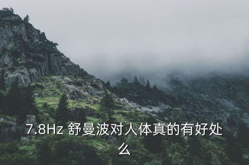 舒曼波發(fā)生器