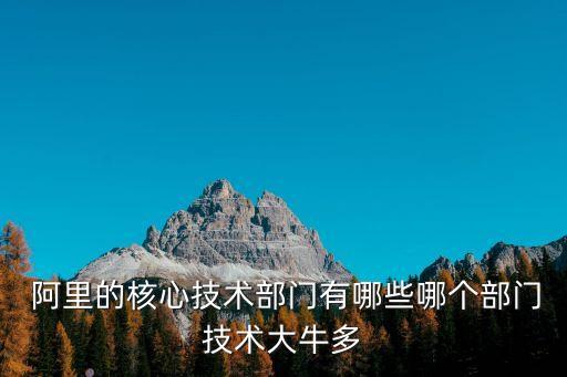  阿里的核心技術(shù)部門(mén)有哪些哪個(gè)部門(mén)技術(shù)大牛多
