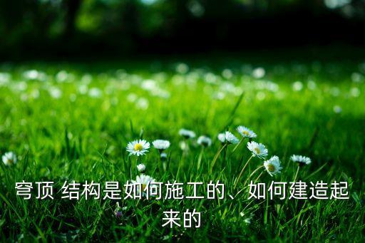 網(wǎng)架結(jié)構(gòu)圖片,體育館網(wǎng)架結(jié)構(gòu)圖片