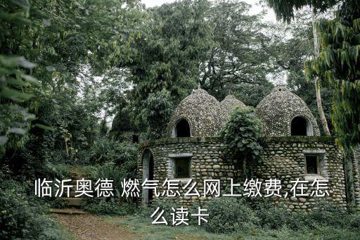  臨沂奧德 燃?xì)庠趺淳W(wǎng)上繳費(fèi),在怎么讀卡