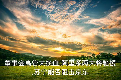 董事會高管大換血,阿里系兩大將馳援,蘇寧能否阻擊京東