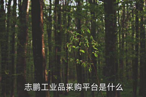  志鵬工業(yè)品采購平臺是什么