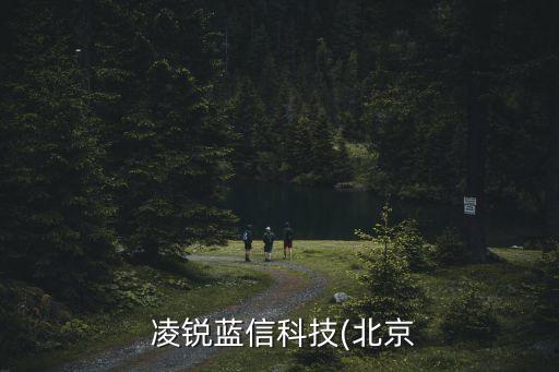  凌銳藍(lán)信科技(北京