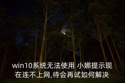 win10系統(tǒng)無法使用 小娜提示現(xiàn)在連不上網(wǎng),待會(huì)再試如何解決
