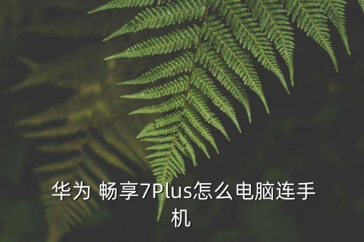 華為暢享7 plus數(shù)據(jù)線