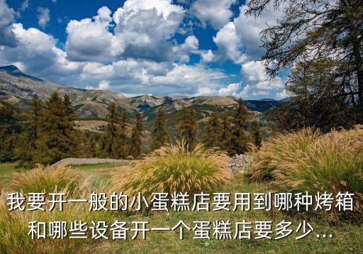 我要開一般的小蛋糕店要用到哪種烤箱和哪些設(shè)備開一個(gè)蛋糕店要多少...