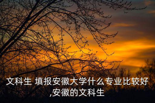 電氣工程及其自動化填報