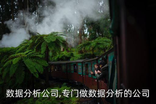 英國(guó)數(shù)據(jù)分析公司,專門做數(shù)據(jù)分析的公司