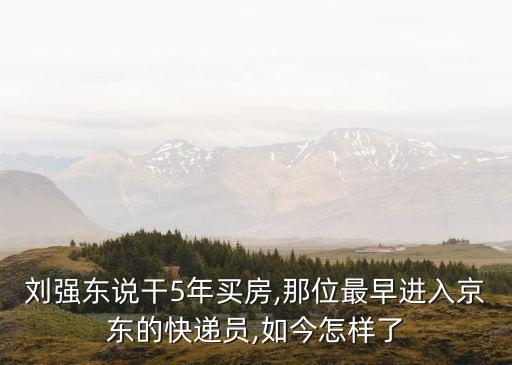京東老板事件,京東的幕后老板是誰?