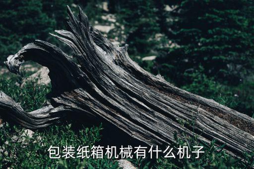 青島問鼎自動化設備包裝機,自動化包裝機械行業(yè)前景如何?
