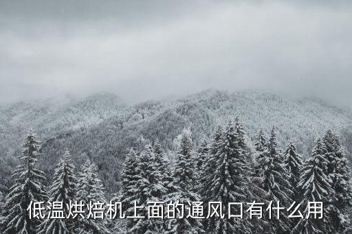 低溫烘焙機(jī)上面的通風(fēng)口有什么用