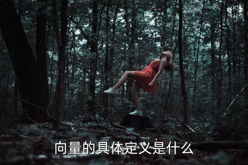 向量的具體定義是什么