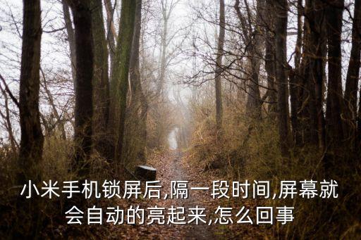 小米手機(jī)鎖屏后,隔一段時(shí)間,屏幕就會(huì)自動(dòng)的亮起來,怎么回事