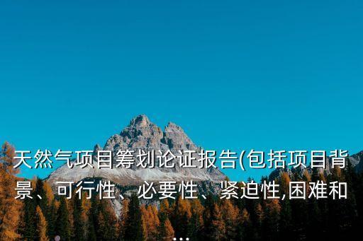 天然氣項(xiàng)目籌劃論證報(bào)告(包括項(xiàng)目背景、可行性、必要性、緊迫性,困難和...
