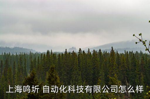 上海鳴圻 自動化科技有限公司怎么樣