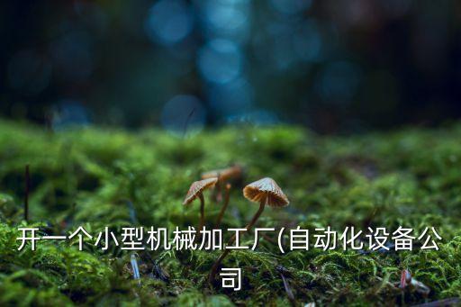 開一個小型機械加工廠(自動化設備公司