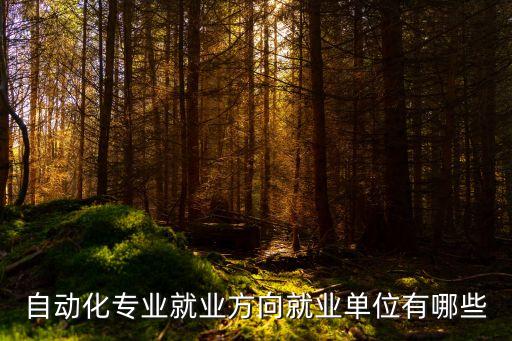 工程師自動化專業(yè)包括哪些,自動化專業(yè)有哪些方向?