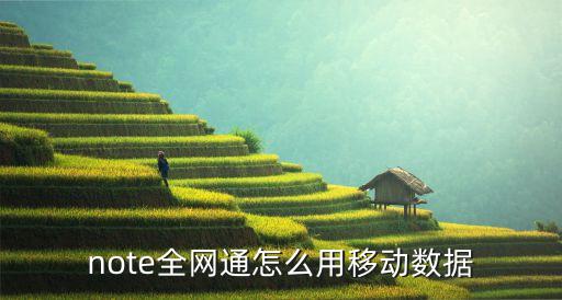 note全網(wǎng)通怎么用移動數(shù)據(jù)