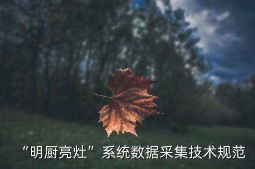 “明廚亮灶”系統(tǒng)數(shù)據(jù)采集技術(shù)規(guī)范