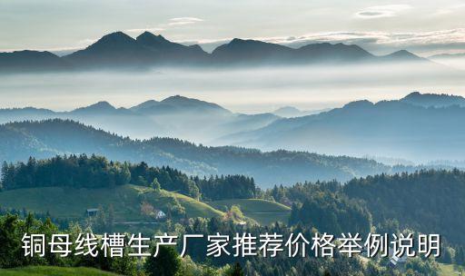 銅母線槽生產(chǎn)廠家推薦價格舉例說明