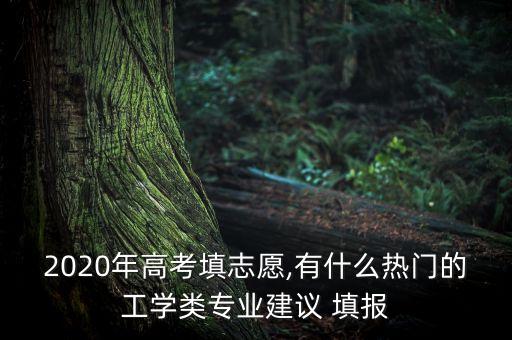2020年高考填志愿,有什么熱門的工學類專業(yè)建議 填報
