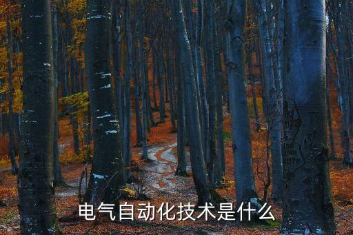 電氣自動化技術(shù)是什么