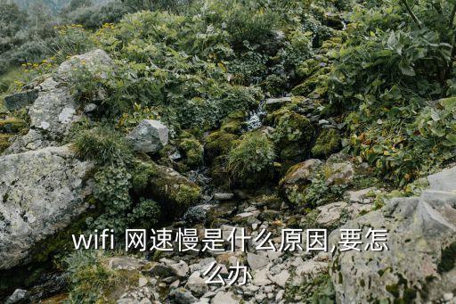  wifi 網(wǎng)速慢是什么原因,要怎么辦