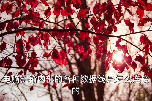 電腦數(shù)據(jù)線打結(jié),數(shù)據(jù)線怎么連接電腦?步驟如下