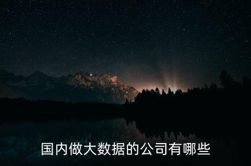 國(guó)內(nèi)做大數(shù)據(jù)的公司有哪些