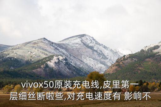 vivox50原裝充電線,皮里第一層細(xì)絲斷啦些,對充電速度有 影響不