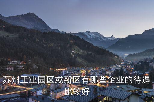 蘇州工業(yè)園區(qū)或新區(qū)有哪些企業(yè)的待遇比較好