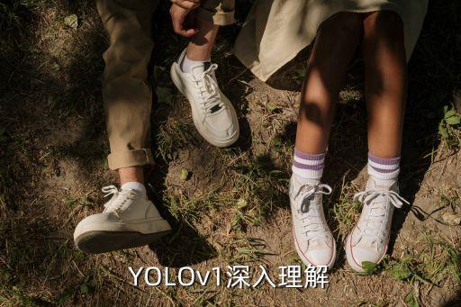 imagenet數(shù)據(jù)集處理,用最少的數(shù)據(jù)訓(xùn)練最多的模型?